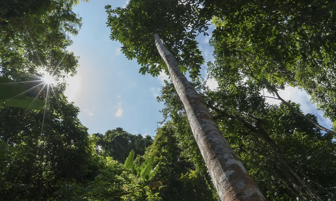 Manufacturing Impact