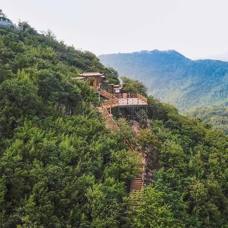 Every Purchase Heals the Planet