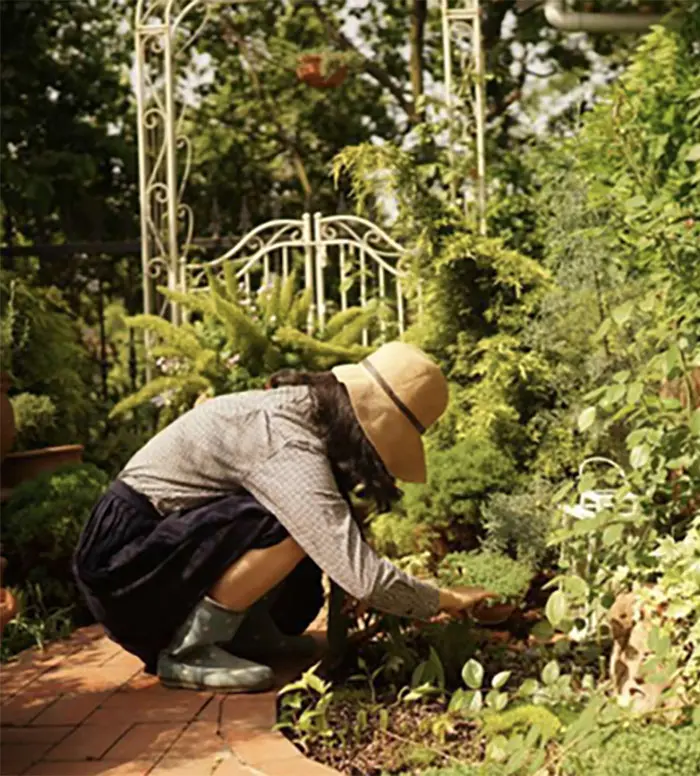 shatter-industry-norms